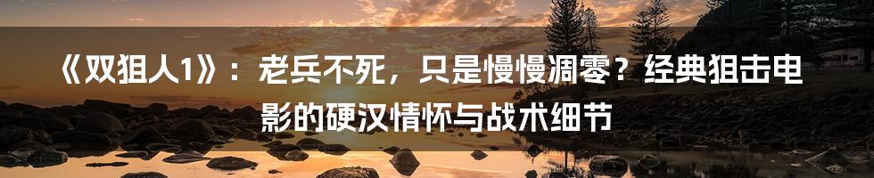 《双狙人1》:老兵不死,只是慢慢凋零?经典狙击电影的硬汉情怀与战术细节