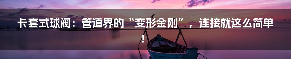 卡套式球阀：管道界的“变形金刚”，连接就这么简单！