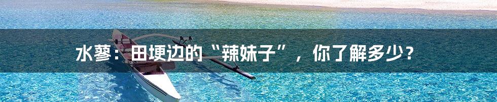 水蓼:田埂边的“辣妹子”,你了解多少?
