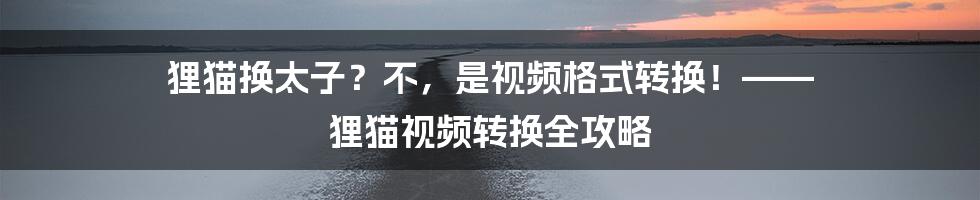 狸猫换太子?不,是视频格式转换!—— 狸猫视频转换全攻略