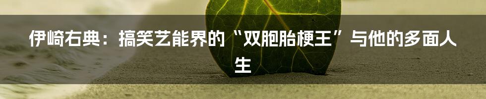 伊崎右典:搞笑艺能界的“双胞胎梗王”与他的多面人生