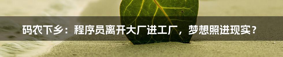 码农下乡:程序员离开大厂进工厂,梦想照进现实?