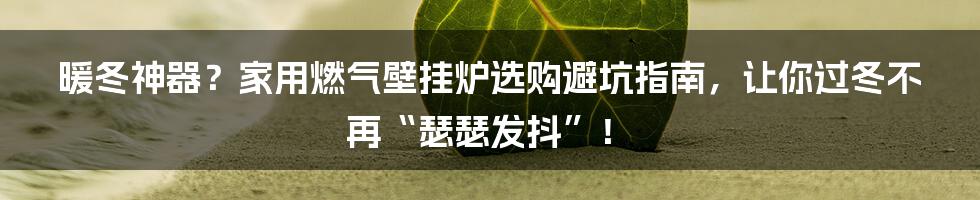 暖冬神器?家用燃气壁挂炉选购避坑指南,让你过冬不再“瑟瑟发抖”!