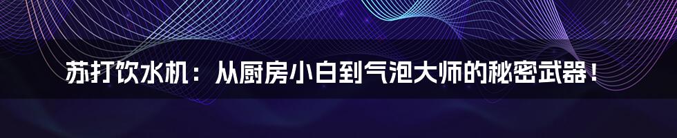 苏打饮水机:从厨房小白到气泡大师的秘密武器!