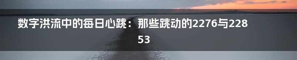 数字洪流中的每日心跳:那些跳动的2276与22853