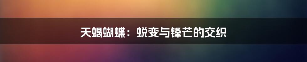 天蝎蝴蝶:蜕变与锋芒的交织