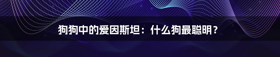 狗狗中的爱因斯坦:什么狗最聪明?