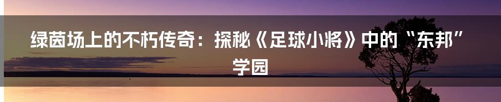 绿茵场上的不朽传奇:探秘《足球小将》中的“东邦”学园