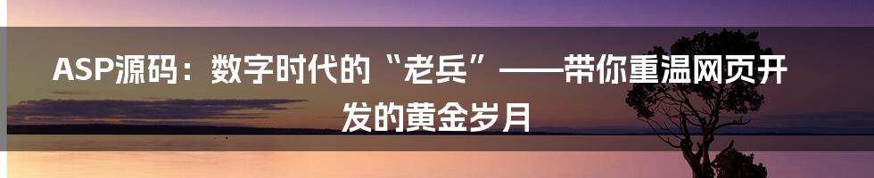 ASP源码：数字时代的“老兵”——带你重温网页开发的黄金岁月