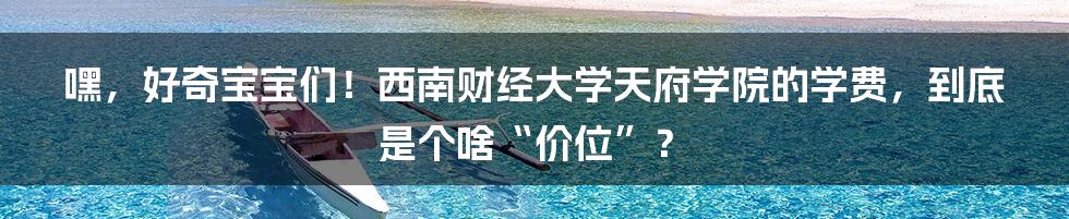 嘿，好奇宝宝们！西南财经大学天府学院的学费，到底是个啥“价位”？