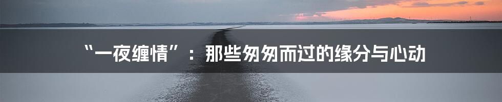 “一夜缠情”:那些匆匆而过的缘分与心动