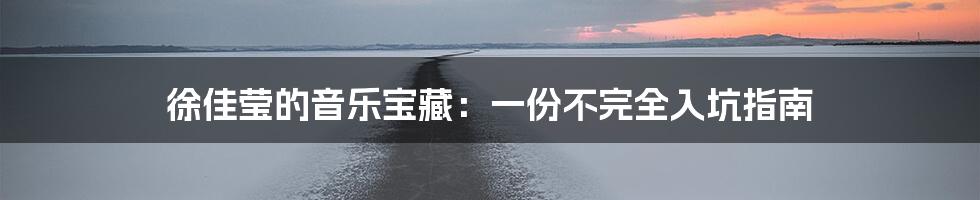徐佳莹的音乐宝藏：一份不完全入坑指南