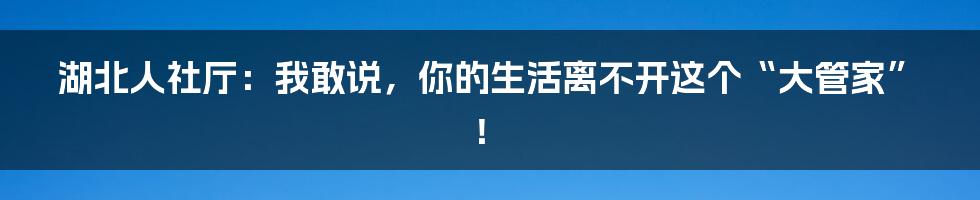 湖北人社厅:我敢说,你的生活离不开这个“大管家”!