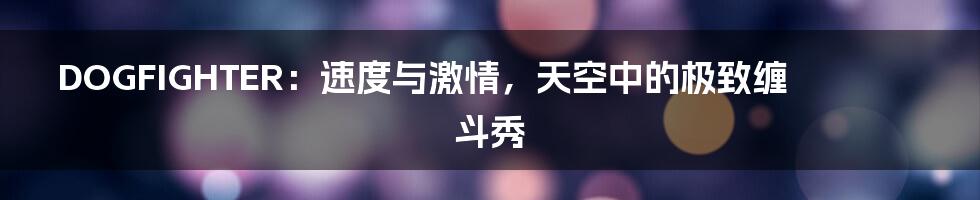 DOGFIGHTER:速度与激情,天空中的极致缠斗秀