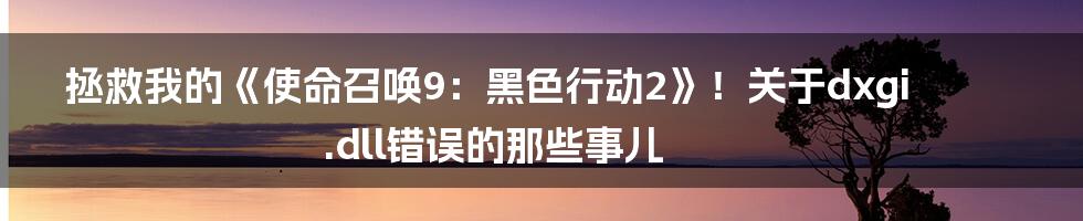 拯救我的《使命召唤9:黑色行动2》!关于dxgi.dll错误的那些事儿