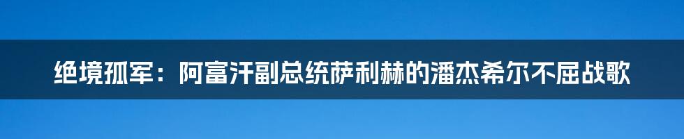 绝境孤军:阿富汗副总统萨利赫的潘杰希尔不屈战歌