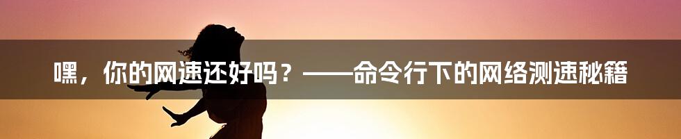 嘿,你的网速还好吗?——命令行下的网络测速秘籍