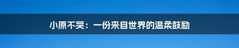 小原不哭:一份来自世界的温柔鼓励