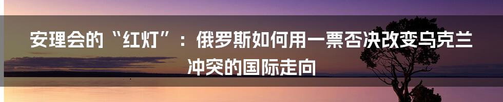 安理会的“红灯”:俄罗斯如何用一票否决改变乌克兰冲突的国际走向