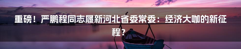 重磅!严鹏程同志履新河北省委常委:经济大咖的新征程?