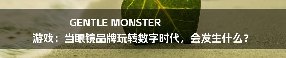 GENTLE MONSTER 游戏:当眼镜品牌玩转数字时代,会发生什么?