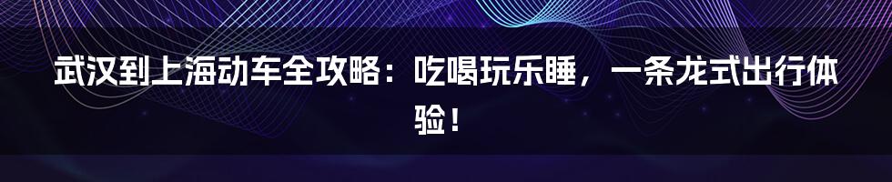 武汉到上海动车全攻略:吃喝玩乐睡,一条龙式出行体验!