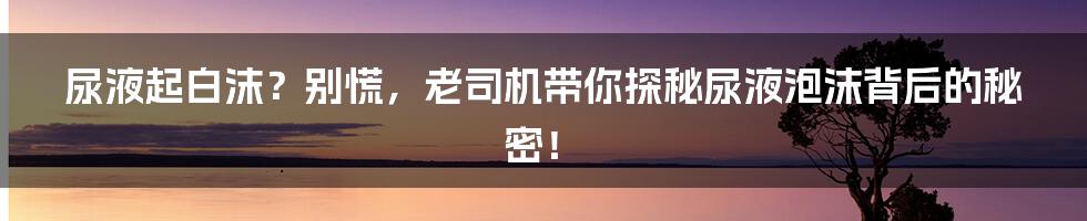 尿液起白沫?别慌,老司机带你探秘尿液泡沫背后的秘密!