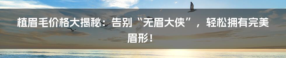 植眉毛价格大揭秘:告别“无眉大侠”,轻松拥有完美眉形!
