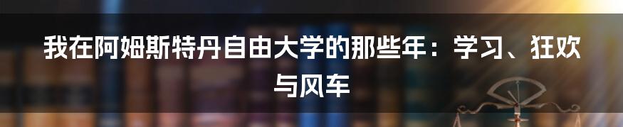 我在阿姆斯特丹自由大学的那些年：学习、狂欢与风车