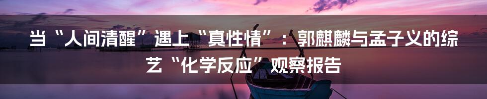 当“人间清醒”遇上“真性情”:郭麒麟与孟子义的综艺“化学反应”观察报告