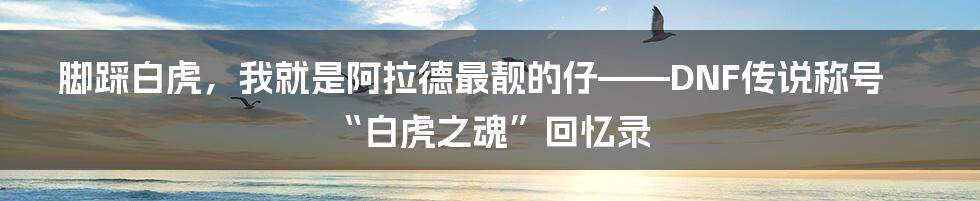 脚踩白虎,我就是阿拉德最靓的仔——DNF传说称号“白虎之魂”回忆录