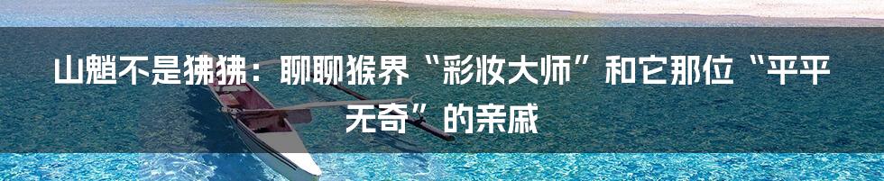 山魈不是狒狒:聊聊猴界“彩妆大师”和它那位“平平无奇”的亲戚