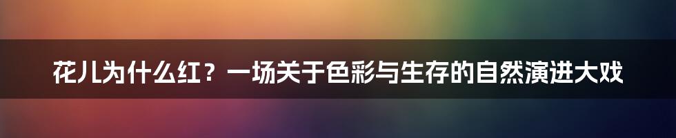 花儿为什么红?一场关于色彩与生存的自然演进大戏