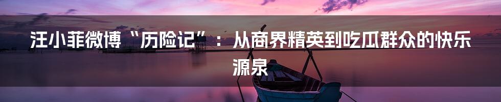 汪小菲微博“历险记”:从商界精英到吃瓜群众的快乐源泉