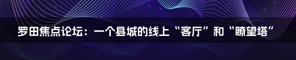 罗田焦点论坛:一个县城的线上“客厅”和“瞭望塔”