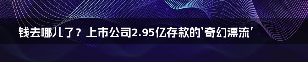 钱去哪儿了?上市公司2.95亿存款的‘奇幻漂流’
