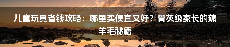 儿童玩具省钱攻略:哪里买便宜又好?骨灰级家长的薅羊毛秘籍