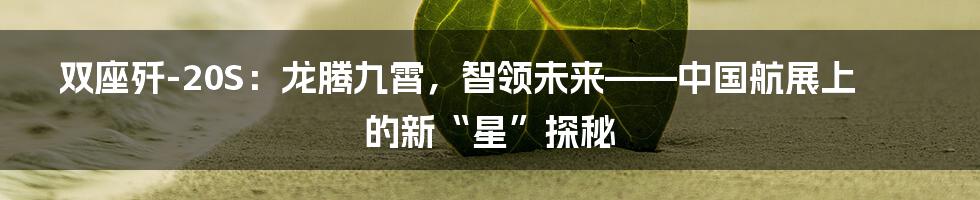 双座歼-20S:龙腾九霄,智领未来——中国航展上的新“星”探秘