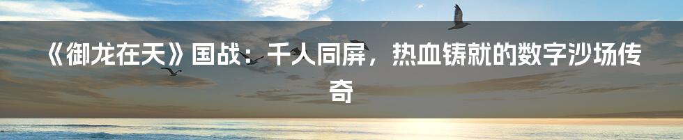 《御龙在天》国战:千人同屏,热血铸就的数字沙场传奇