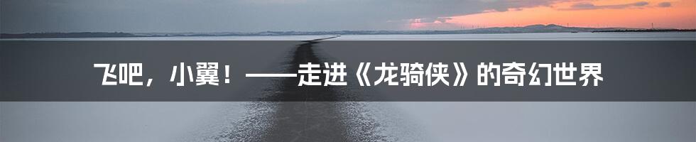 飞吧,小翼!——走进《龙骑侠》的奇幻世界