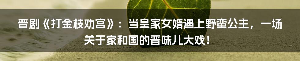 晋剧《打金枝劝宫》:当皇家女婿遇上野蛮公主,一场关于家和国的晋味儿大戏!