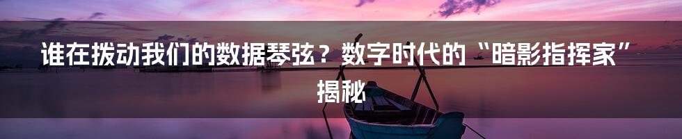 谁在拨动我们的数据琴弦?数字时代的“暗影指挥家”揭秘
