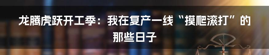 龙腾虎跃开工季:我在复产一线“摸爬滚打”的那些日子