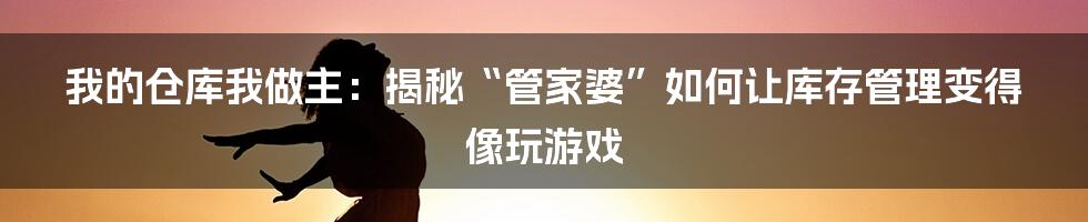 我的仓库我做主:揭秘“管家婆”如何让库存管理变得像玩游戏