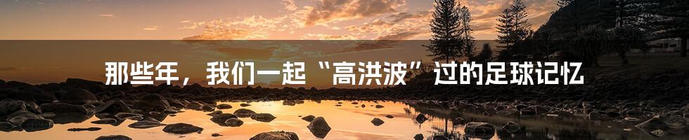 那些年,我们一起“高洪波”过的足球记忆