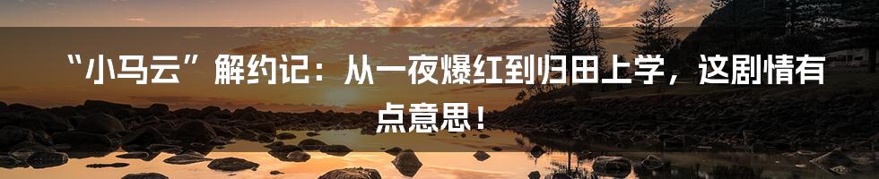 “小马云”解约记:从一夜爆红到归田上学,这剧情有点意思!