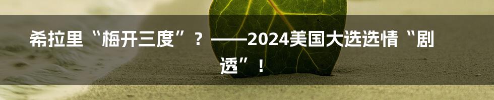 希拉里“梅开三度”?——2024美国大选选情“剧透”!