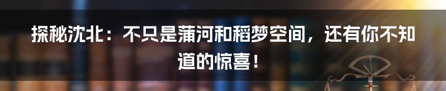 探秘沈北:不只是蒲河和稻梦空间,还有你不知道的惊喜!