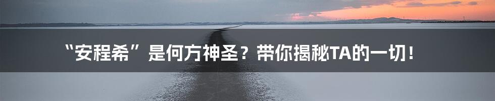“安程希”是何方神圣?带你揭秘TA的一切!