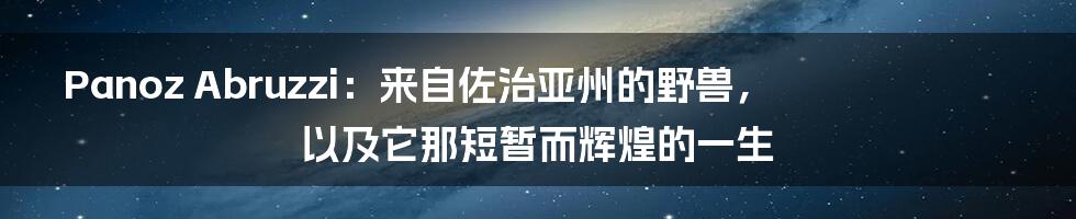Panoz Abruzzi:来自佐治亚州的野兽,以及它那短暂而辉煌的一生